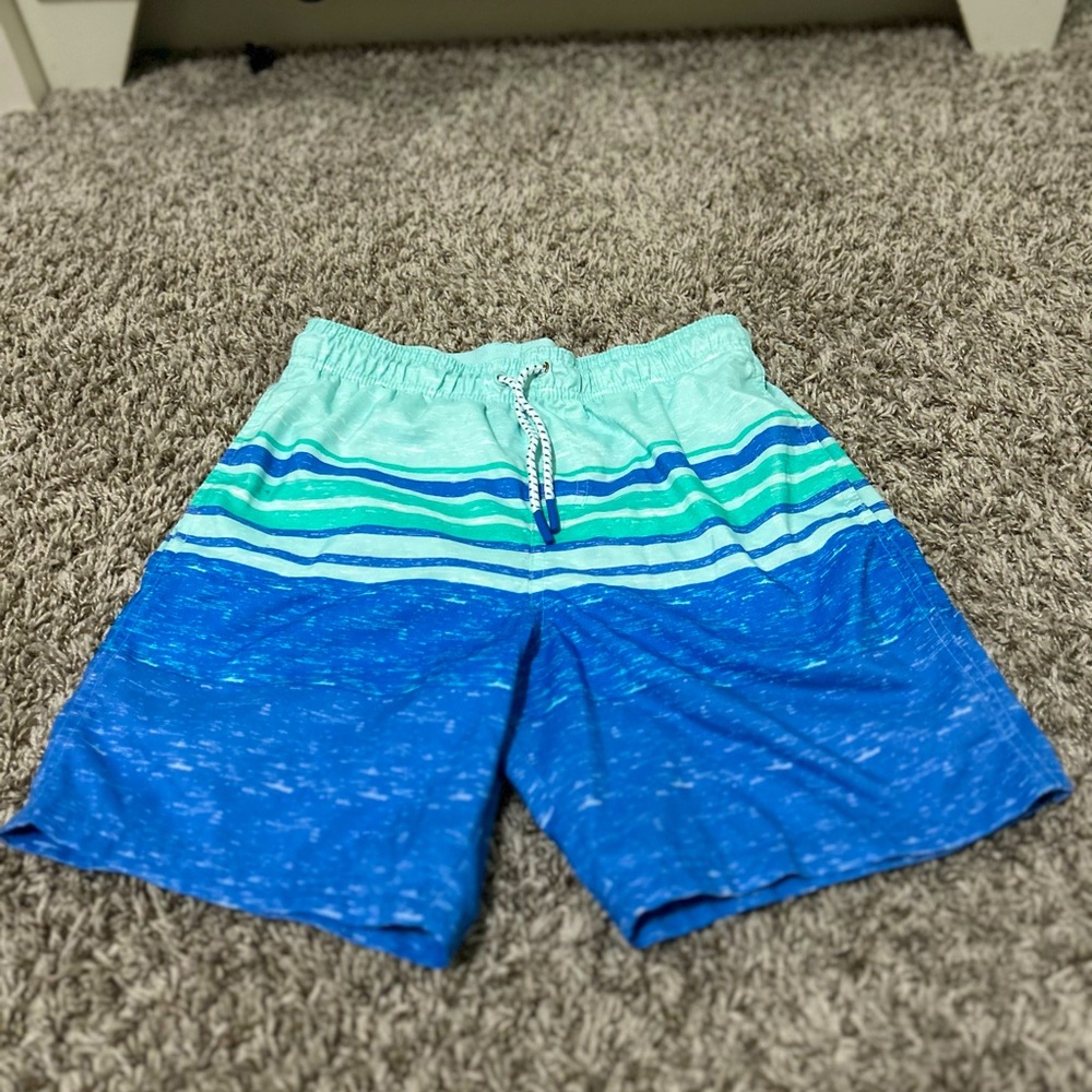 Blue and Green Striped Cat and Jack Swim Shorts